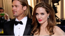 Brad Pitt Gets Big Legal Boost In Ongoing Winery Battle Against Angelina Jolie