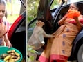 'यही मेरी असली कमाई है'... 10 साल से बंदरों की सेवा कर रहीं रिटायर्ड पुलिस अधिकारी, वीडियो वायरल