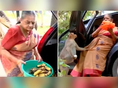'यही मेरी असली कमाई है'... 10 साल से बंदरों की सेवा कर रहीं रिटायर्ड पुलिस अधिकारी, वीडियो वायरल
