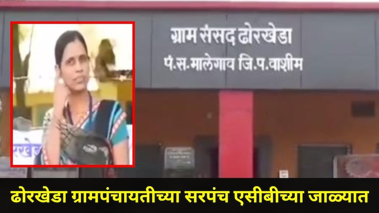 Washim News: ढोरखेडा ग्रामपंचायतीत खळबळ! सरपंच सुनीता मिटकरींना लाच घेताना ACB ने रंगेहाथ पकडलं, प्रकरण काय?