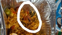 Fly Found In Tejas Express Biryani, Railway Authority Fines Vendor Rs 1 Lakh