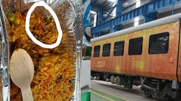 Fly Found In Tejas Express Biryani, Railway Authority Fines Vendor Rs 1 Lakh