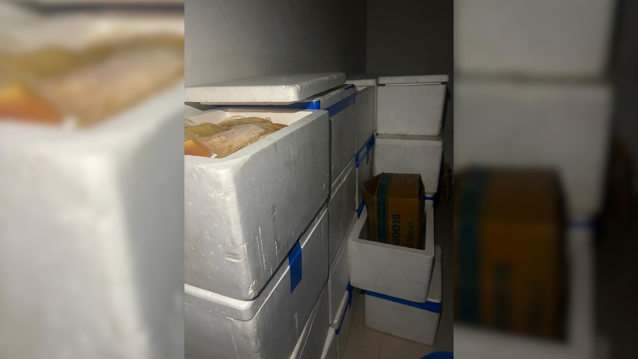 Ahmedabad Police Uncover Adulterated Blood Plasma Supply, Four Arrested