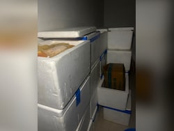 Fake Blood Plasma Racket Busted In Ahmedabad, Mastermind Among 4 Arrested