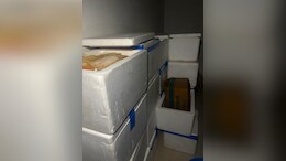 Fake Blood Plasma Racket Busted In Ahmedabad, Mastermind Among 4 Arrested