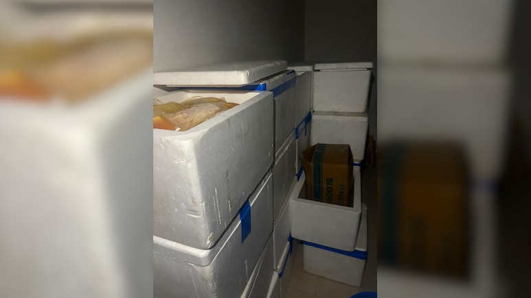 Fake Blood Plasma Racket Busted In Ahmedabad, Mastermind Among 4 Arrested