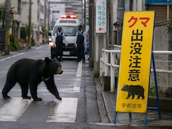 What Forced Nearly 100 Schools To Shut In Japan? A Bear