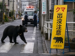 What Forced Nearly 100 Schools To Shut In Japan? A Bear