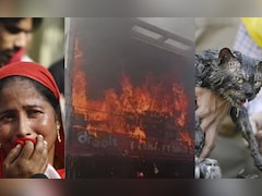 लखनऊ कोचिंग सेंटर में भयंकर आग; अब तक 13 लोगों की मौत, सीएम योगी ने रद्द किया अपना दौरा