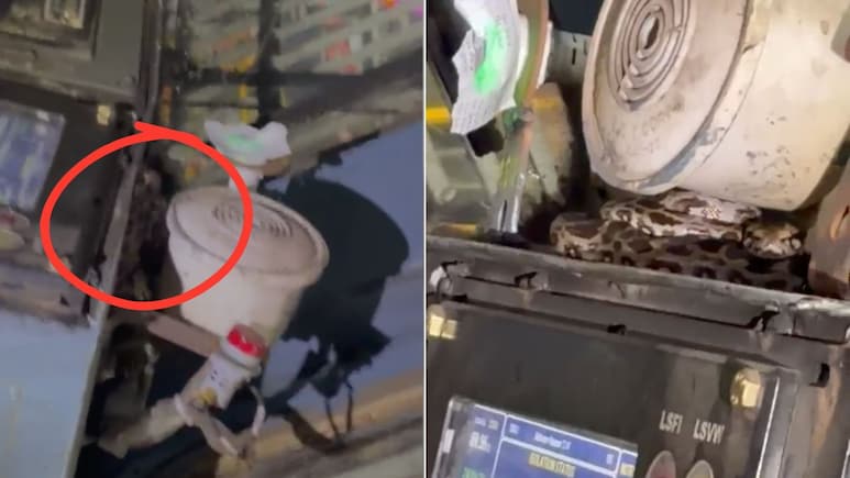 Baby Python Safely Rescued From Inside Jan Shatabdi Express Engine, Video Viral