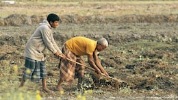 Monsoon Update : मान्सून कोकणात धडकला, शेतकऱ्यांनो पेरणी कधी कराल? हवामान विभागाने सांगितला नेमका कालावधी&nbsp;