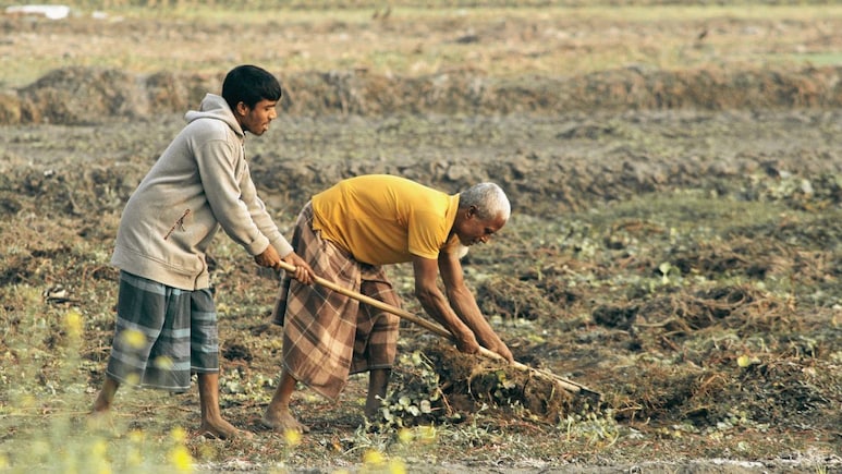 Monsoon Update : मान्सून कोकणात धडकला, शेतकऱ्यांनो पेरणी कधी कराल? हवामान विभागाने सांगितला नेमका कालावधी&nbsp;