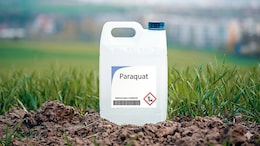 What Is Paraquat? Why Doctors Are Urgently Demanding A Complete Ban On The Dangerous Toxin