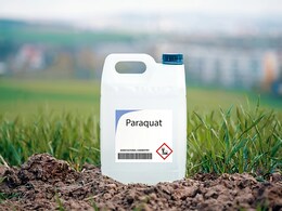 What Is Paraquat? Why Doctors Are Urgently Demanding A Complete Ban On The Dangerous Toxin