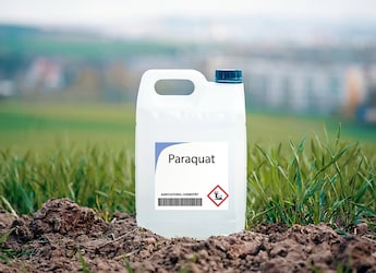 What Is Paraquat? Why Doctors Are Urgently Demanding A Complete Ban On The Dangerous Toxin