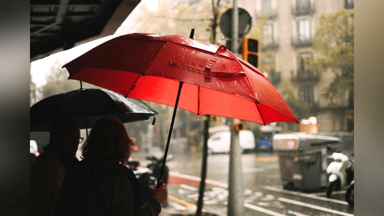 लाइटवेट के साथ बारिश और तेज धूप दोनों से बचाते हैं ये कॉम्पैक्ट अंब्रेला, खरीदें इन्हें आधे से भी कम दाम में