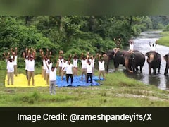 Watch: Forest Department Officials Perform Yoga Alongside Elephants In West Bengal