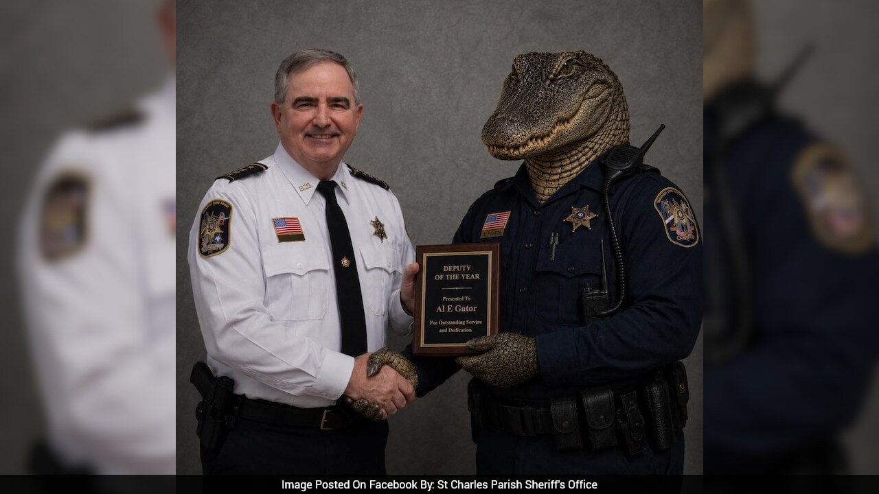 Video: US Man Hides In Swamp During Police Chase, Alligator Finds Him