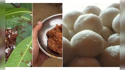 खजुरी गुड़ा, रसाबली से लेकर केवड़ा तक... ओडिशा के ये 10 GI टैग स्वाद बना रहे हैं दुनिया में अलग पहचान