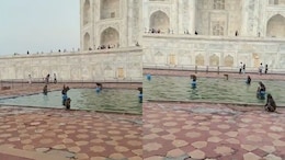 Watch: Monkeys Hijack Taj Mahal Fountain, Turn It Into A 'Water Park' To Beat The Heatwave