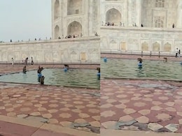 Watch: Monkeys Hijack Taj Mahal Fountain, Turn It Into A 'Water Park' To Beat The Heatwave