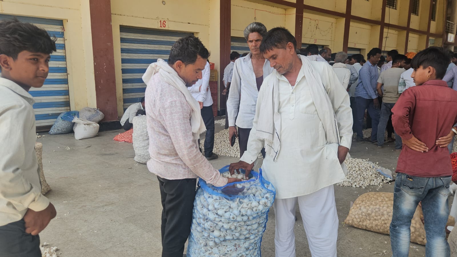 Garlic Price Hike: मंडी में लहसुन के साथ किसान Garlic Price Hike: मंडी में लहसुन के साथ किसान