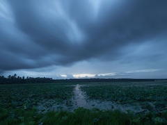 Monsoon: एक जगह रुका मानसून, MP के 40 जिलों में नहीं पहुंचा, आधे छत्तीसगढ़ को भी इंतजार, क्या कह रहा मौसम विभाग