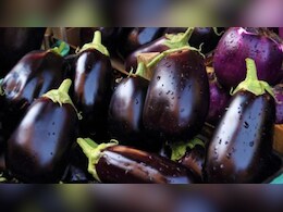 Heart Health Tips: AIIMS एक्सपर्ट ने बताया कैसे बैंगन रखता है दिल को फिट