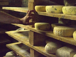 Mouldy Cheese: Can You Still Eat It Or Throw It Away?