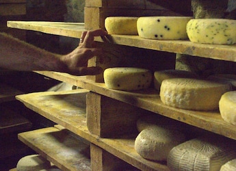 Mouldy Cheese: Can You Still Eat It Or Throw It Away?