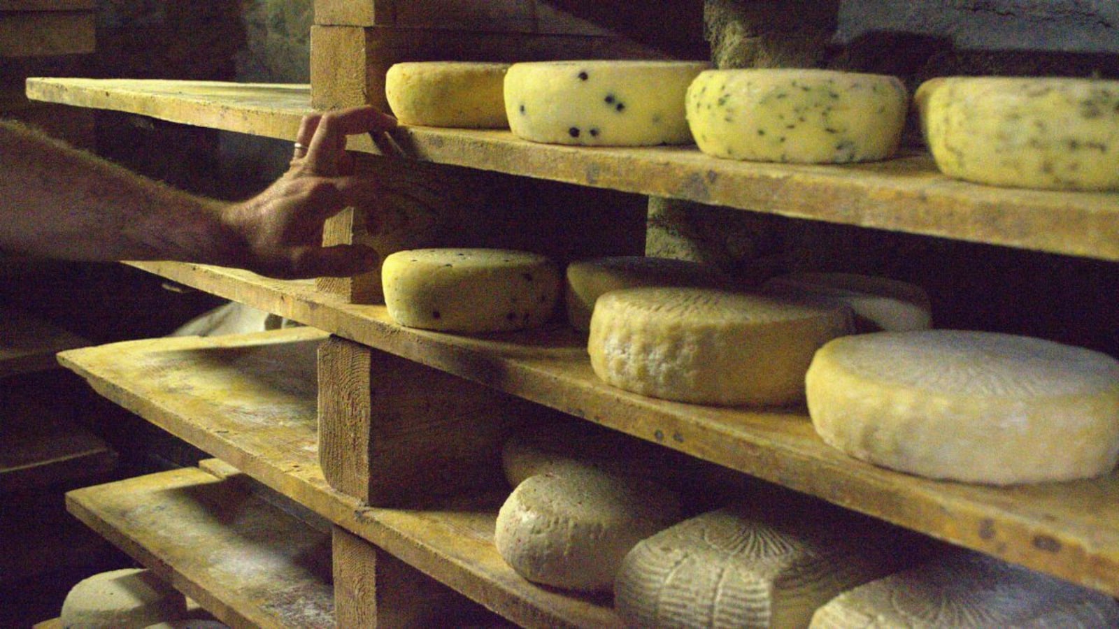 Mouldy Cheese: Can You Still Eat It Or Throw It Away?