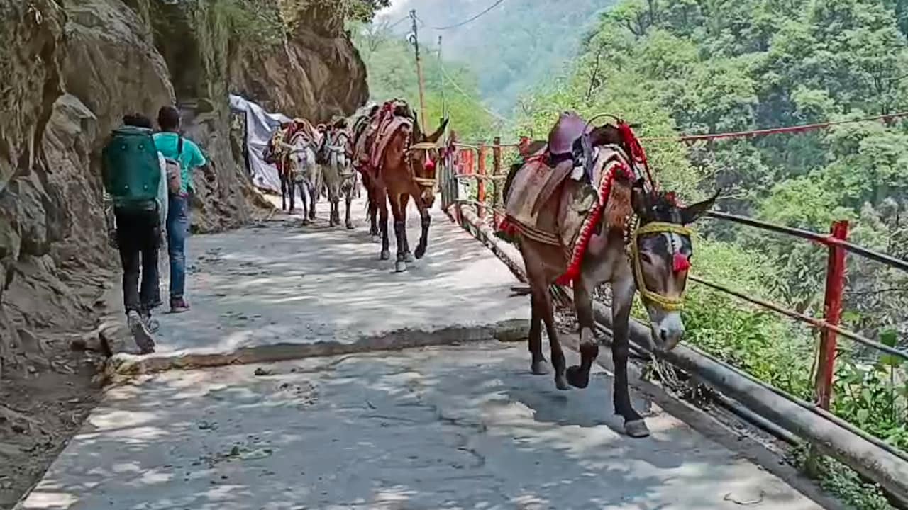 Story image