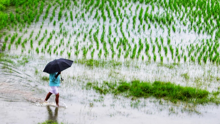 Rainfall Deficit Widens Across Western, Central India In Early Monsoon Phase &mdash; Check Sub-Division Wise Data
