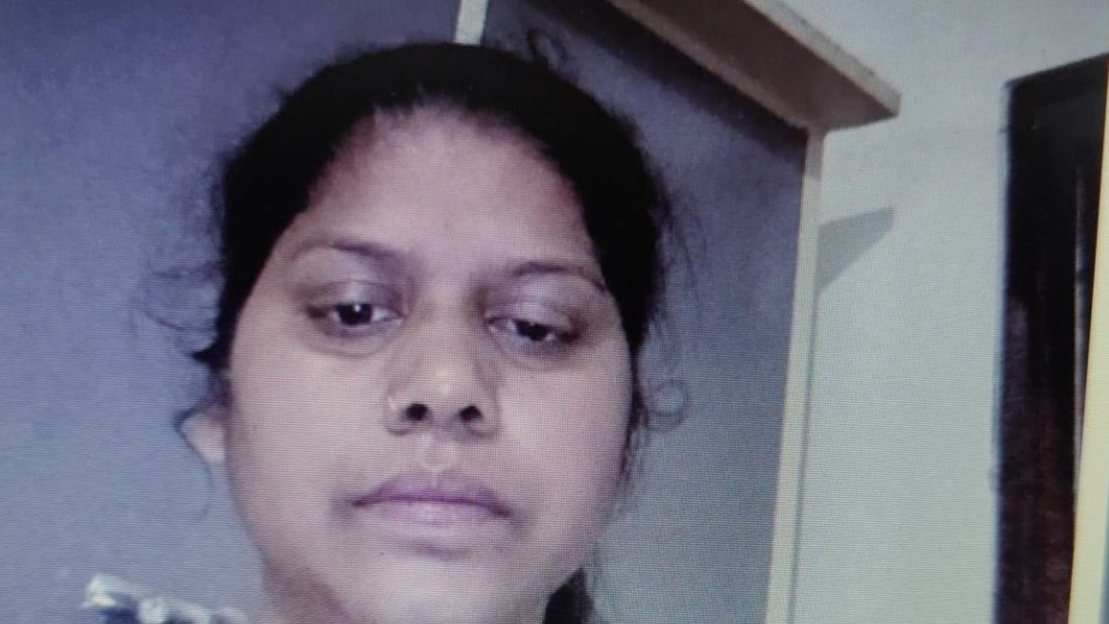 Pak Marriage Proposal, Name Change: Jaipur Woman Arrested Over Jaish Links