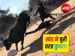 LIVE शो में अचानक बेहोश हो गया शख्स, बेकाबू सांड ने हवा में उछालकर नीचे गिराया, पीठ पर 8 बार कूदा