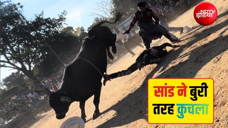 LIVE शो में अचानक बेहोश हो गया शख्स, बेकाबू सांड ने हवा में उछालकर नीचे गिराया, पीठ पर 8 बार कूदा