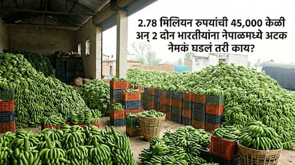 2.78 मिलियन केळ्यांसाठी 2 भारतीयांना नेपाळमध्ये अटक! गुन्हा ऐकून पायाखालची जमीन सरकेल, पोलीसही चक्रावले