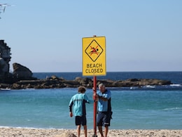 11-Foot Shark Mauls Woman In Sydney, She Grabs Onto Paddleboat To Escape