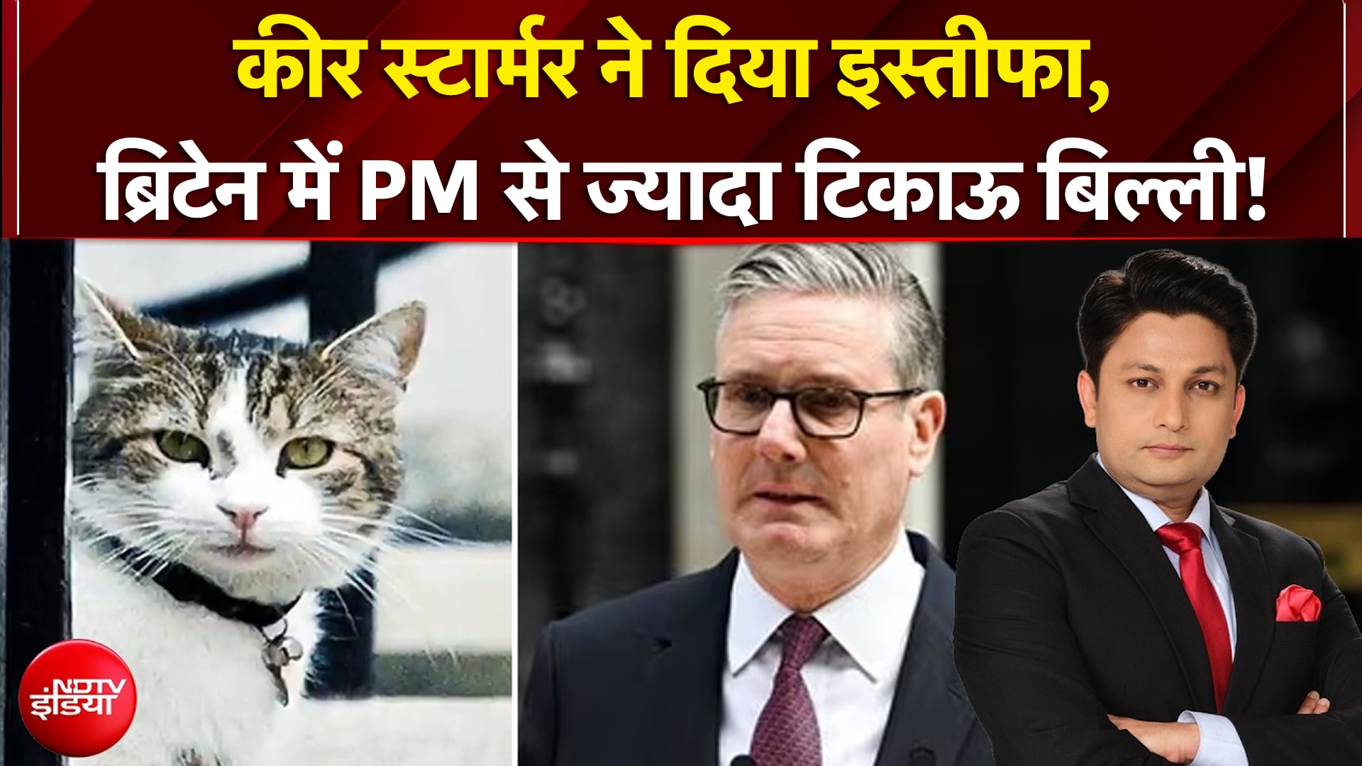 कीर स्टार्मर ने दिया इस्तीफा, बिट्रेन में PM से ज्यादा टिकाऊ बिल्ली!
