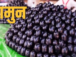 बाजार में जामुन की भरमार मतलब इस साल पड़ेगा सूखा? सोशल मीडिया में क्यों वायरल हो रही दादी-नानी की ये कहानी