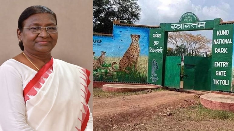 राष्ट्रपति द्रौपदी मुर्मू का कूनो नेशनल पार्क दौरा: पर्यटकों की एंट्री बंद, छावनी में बदला श्योपुर