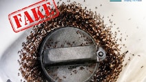 Ants In Fuel Tank Due To E20 Fuel? Bharat Petroleum Fact-Checks Viral Video
