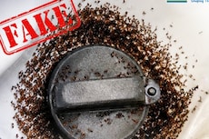 Ants In Fuel Tank Due To E20 Fuel? Bharat Petroleum Fact-Checks Viral Video