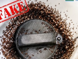 Ants In Fuel Tank Due To E20 Fuel? Bharat Petroleum Fact-Checks Viral Video