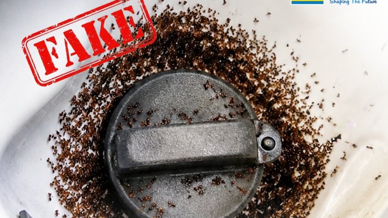 Ants In Fuel Tank Due To E20 Fuel? Bharat Petroleum Fact-Checks Viral Video