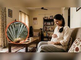 गर्भवती महिलाओं को मिलेंगे 6000 रुपये, जानें क्या है प्रधानमंत्री मातृत्व वंदना योजना और कैसे करें आवेदन