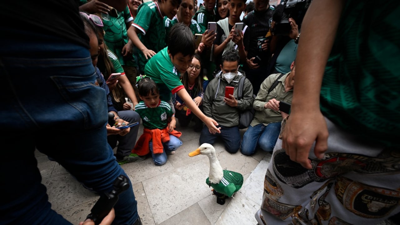 Ducktales: Meet FIFA World Cup 2026s Latest Ambassador Who Has Captured Mexicos Imagination