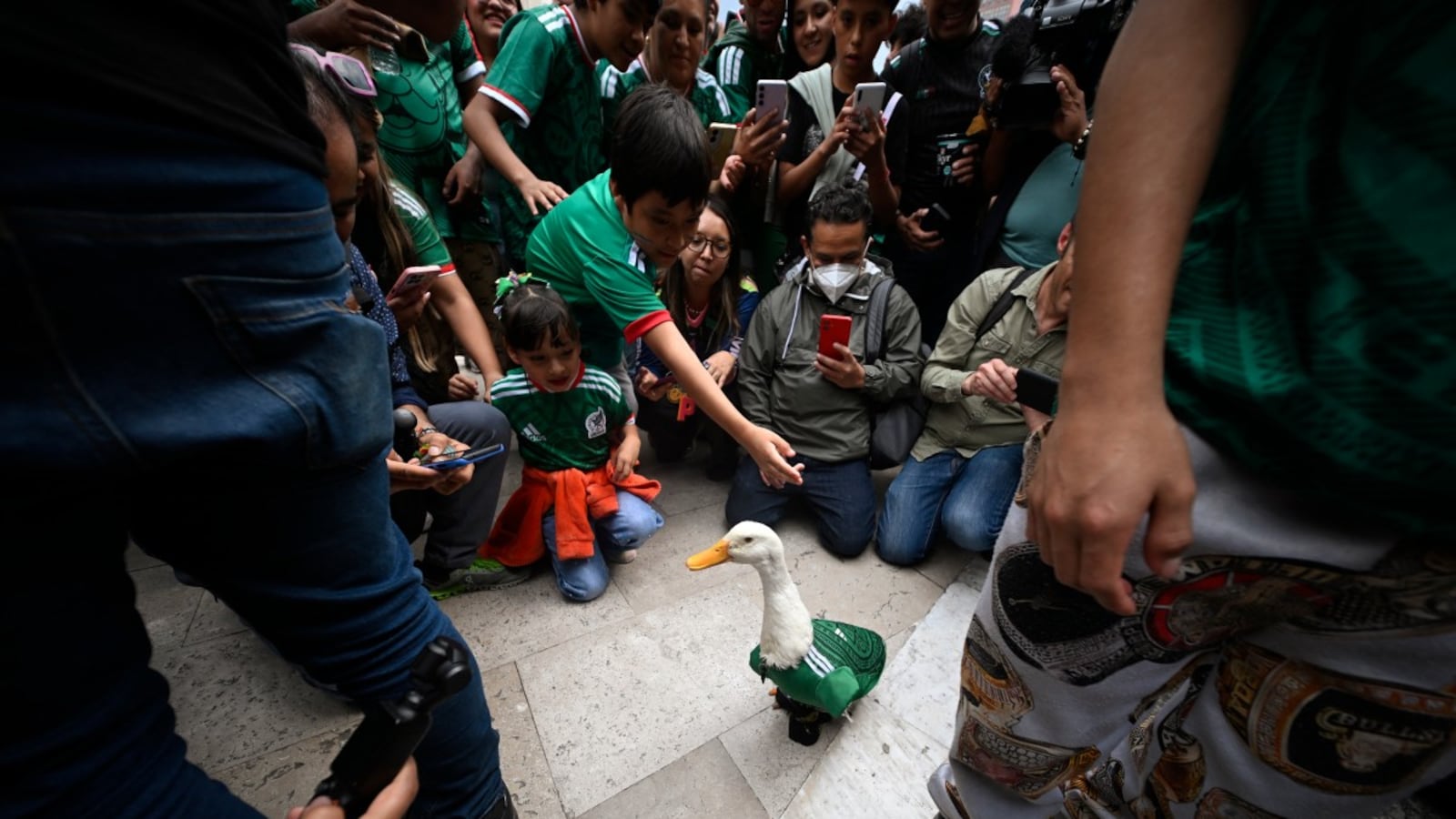 Ducktales: Meet FIFA World Cup 2026s Latest Ambassador Who Has Captured Mexicos Imagination