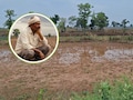 मानसून की सुस्त चाल: खेत तैयार, किसान बरसात का कर रहे इंतजार, जानें कब से होगी तेज बारिश