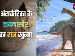 वैज्ञानिक दराज में रखकर भूल गए थे 40 साल पुरानी खोज, अब पता चला- वो अंटार्कटिका के पहले डायनासोर की हड्डी थी
